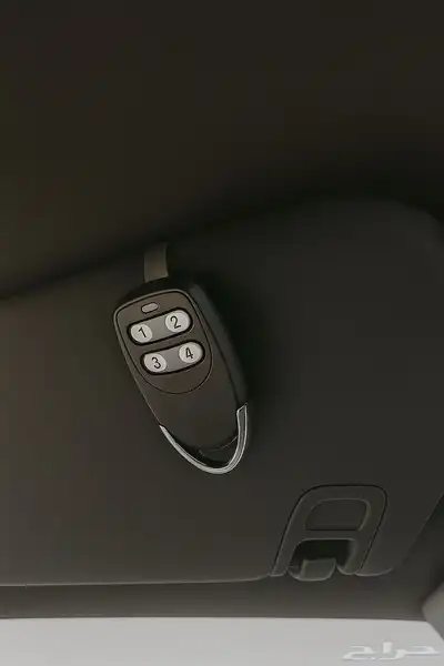 ريموت دالتون 2