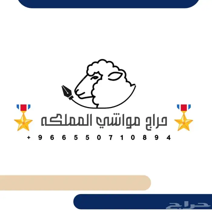 مزاد حلال عبر الواتساب 0