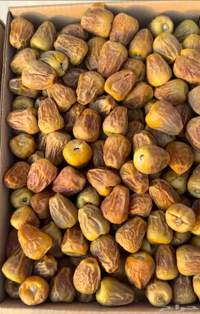 تمر سكري مفتل درجه أولى انتاج هذي السنة 0