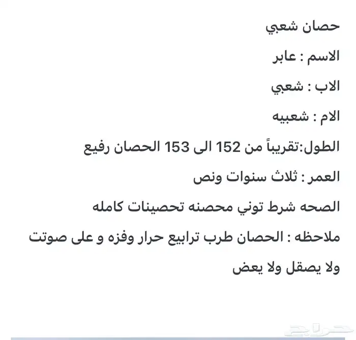 حصان شعبي سومه 3500 حد ملي حد 1