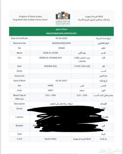للبيع فرس مصريه بيور لقاح ثلاث شهور ونص 5