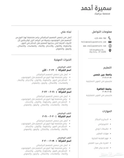 تصميم سيرة ذاتية CV 6