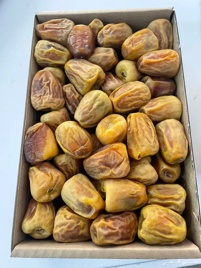 تمور المدينة 4