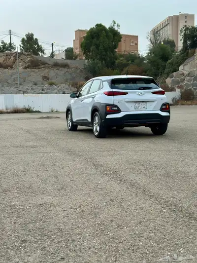 كونا 2019 22