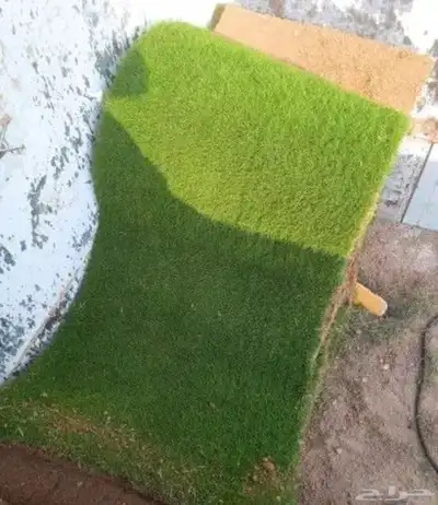 تثيل نجيله طبيعي 8