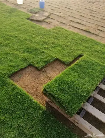 تثيل نجيله طبيعي 19