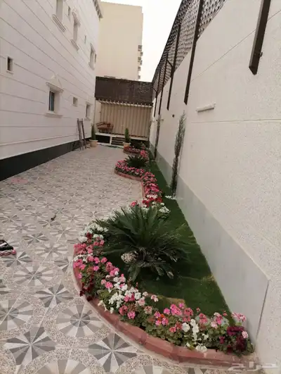 تثيل نجيله طبيعي 20