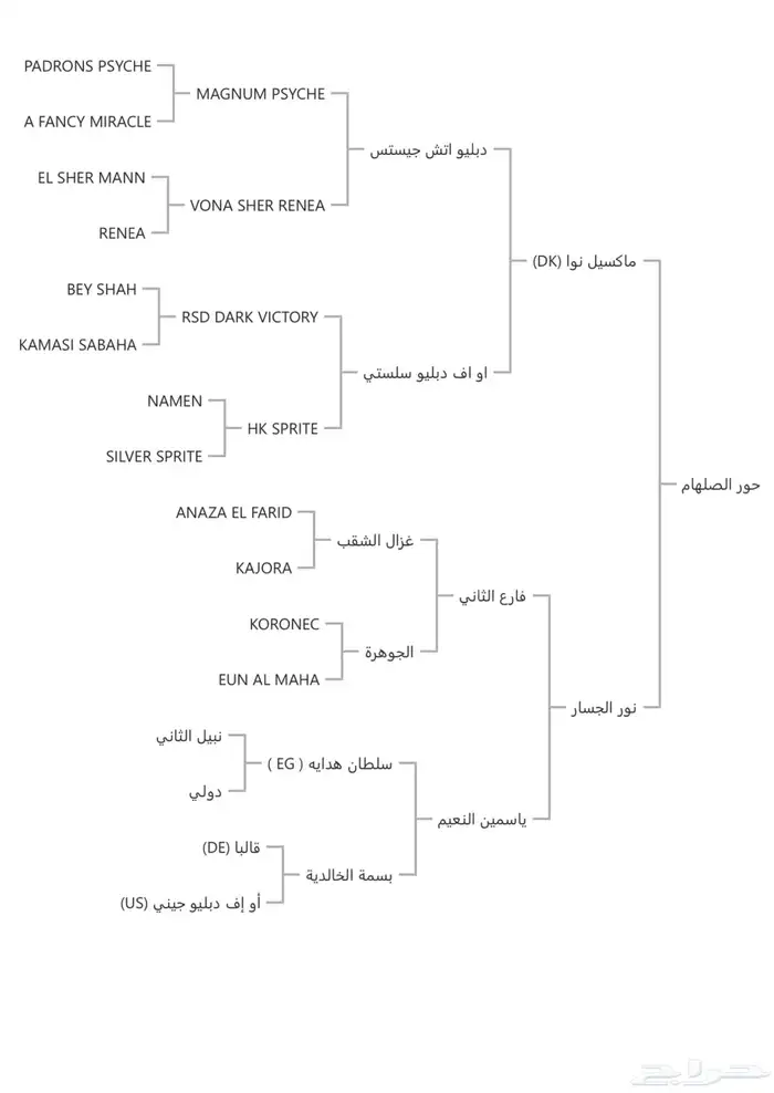 فرس للبيع حفيدة غزال الشقب 4