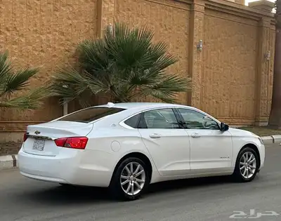 امبالا 2019 شبه جديد 7
