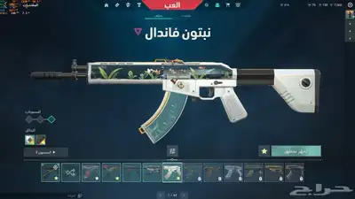 فالورانت 6