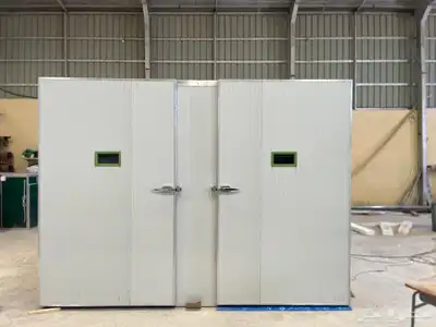 فقاسات البتر سايم لبيض الاحم 0