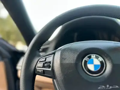 بي ام دبليو 2013 730Li ( Business ) 22