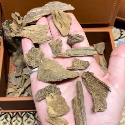 عود وبخور كلمنتان مالينو طبيعي فاخر نكهه طيبه 0