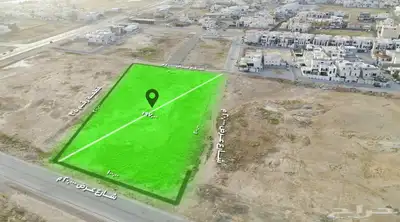 مصور درون 4