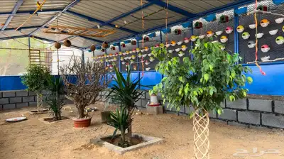 محمية طيور 22