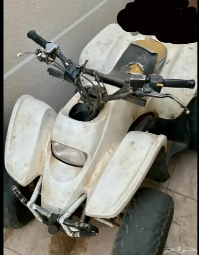 دباب سويدي مقس 100 1