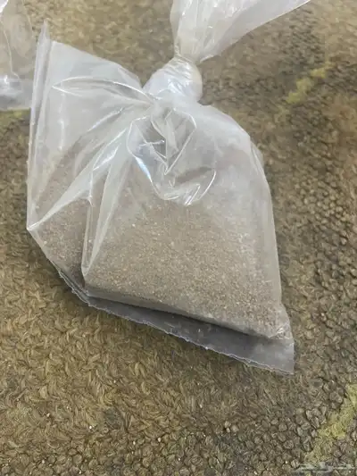 تخبي سيارة حقك بيت قديم أخ فوق أربع الكيس الوحدة بخمسين 0