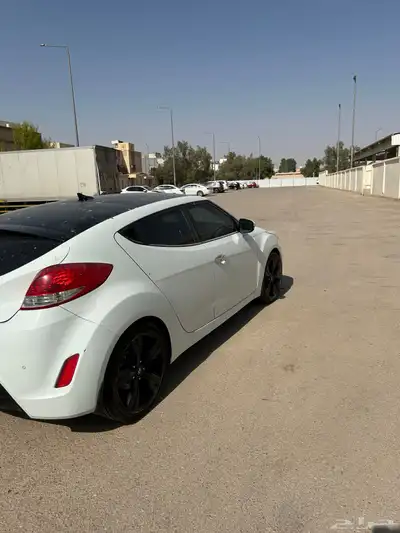 فيلوستر نظيفه 4