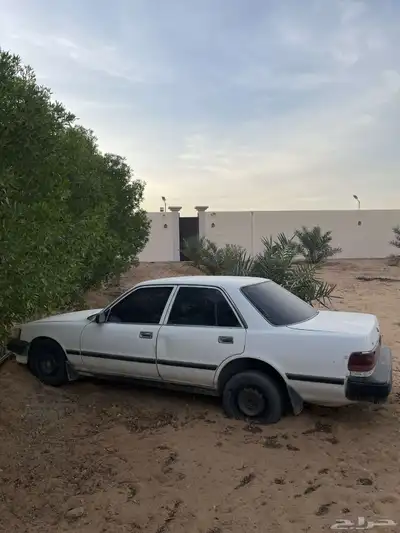 للبيع كرسيدا 91 0