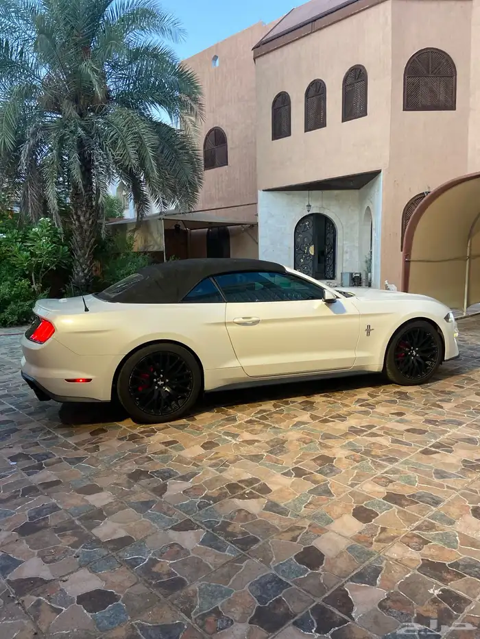 فورد موستينج V4 2018 كشف 5