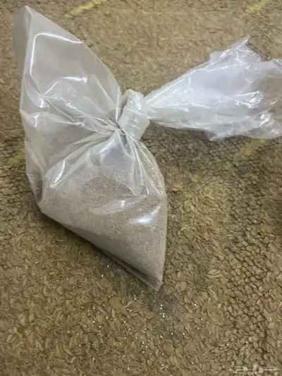 تخبي سيارة حقك بيت قديم أخ فوق أربع الكيس الوحدة بخمسين 2