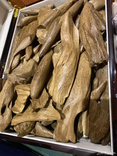 مروكي اصقون كيلو 0