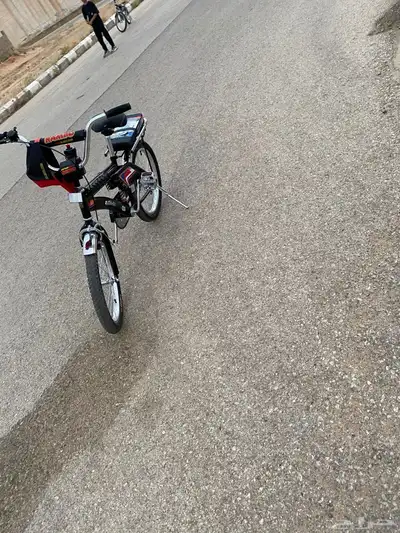 رامبو اندونيسي مقاس 20 2