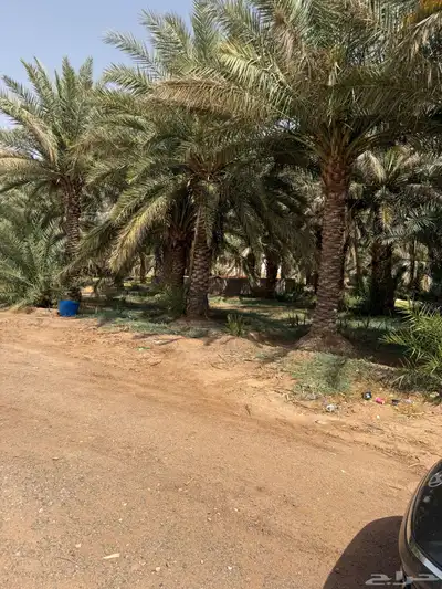 مزرعه للاجار 0