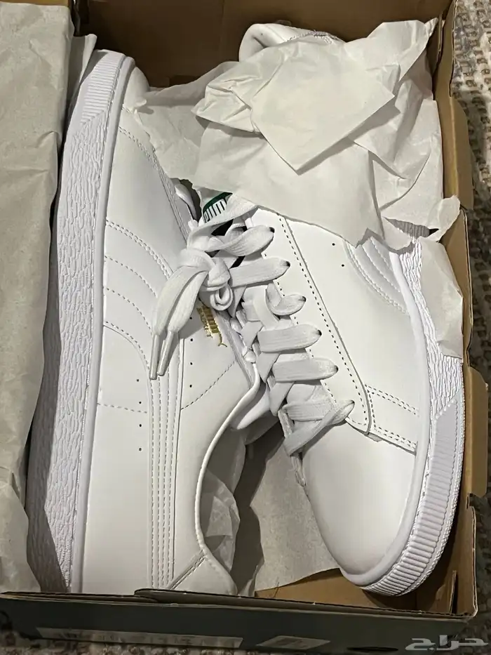 شوزات اديداس بوما كالفن كلاين 9