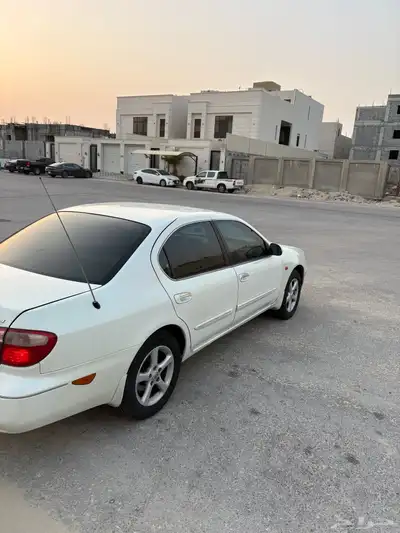 مكسيما 2008 للبيع 5