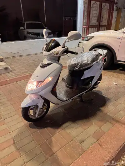 دباب العجيب مخزن 0