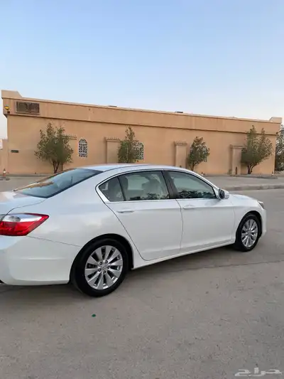 هونداء اكورد 4