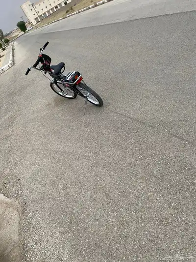 رامبو اندونيسي مقاس 20 3