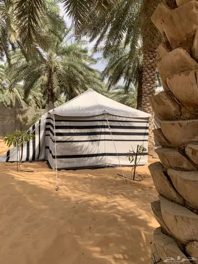 بيت شعر الابيض 1
