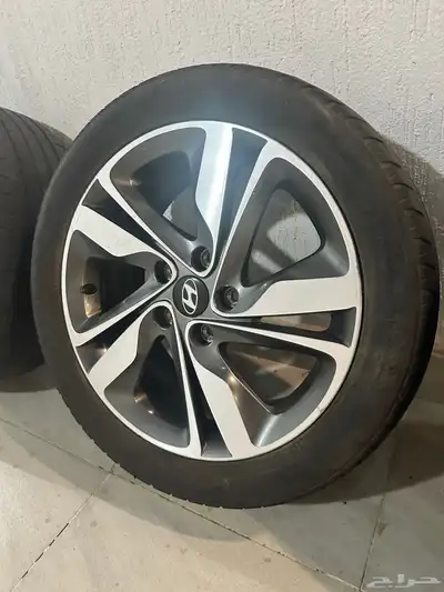 جنوط النترا 2014 2