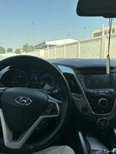 فيلوستر نظيفه 9