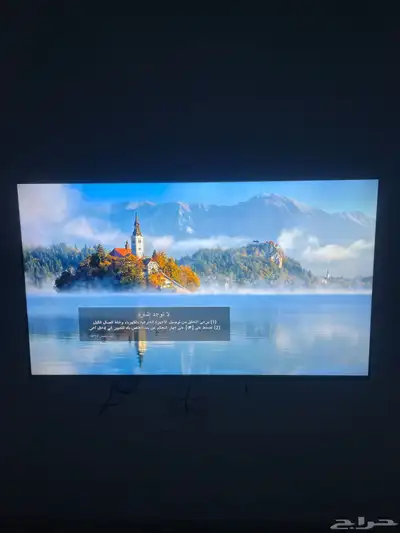 شاشة DANSAT 65 بوصه 2