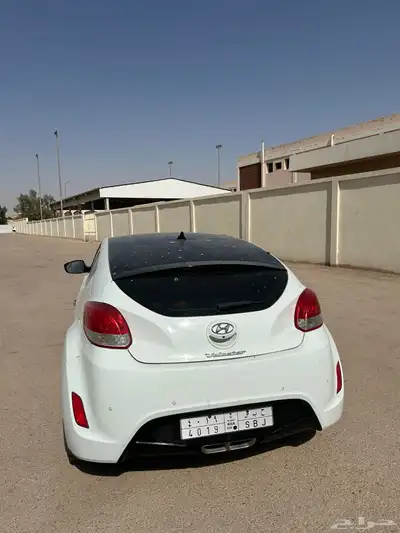 فيلوستر نظيفه 3