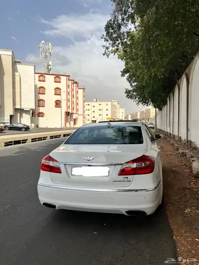 جنسس 2014 1