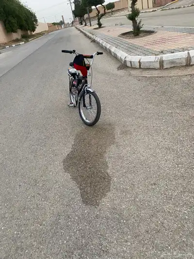 رامبو اندونيسي مقاس 20 1