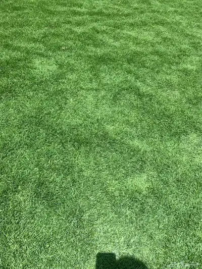 نجيله طبيعي مشروطه 2