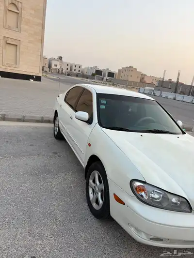 مكسيما 2008 للبيع 1