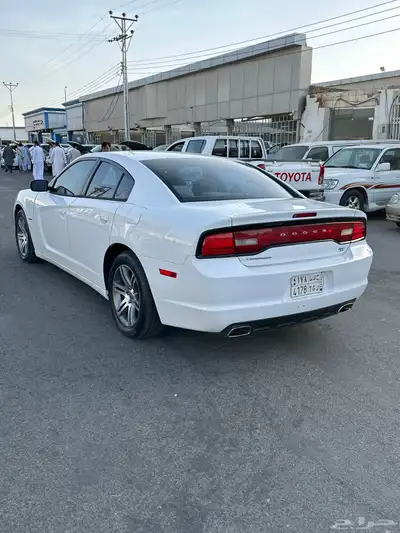 دوج نظيف 6