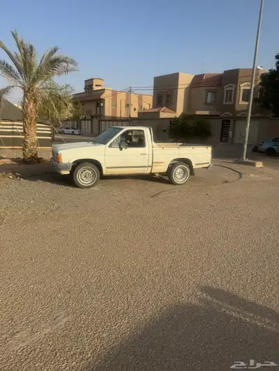 ددسن البيع 2