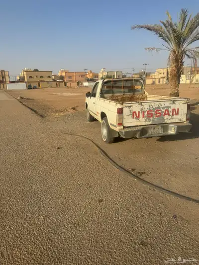 ددسن البيع 5