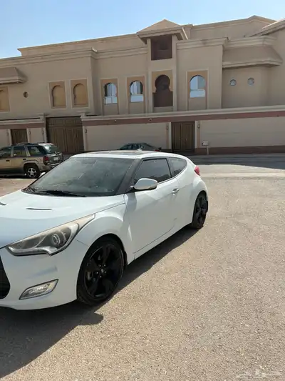 فيلوستر نظيفه 1