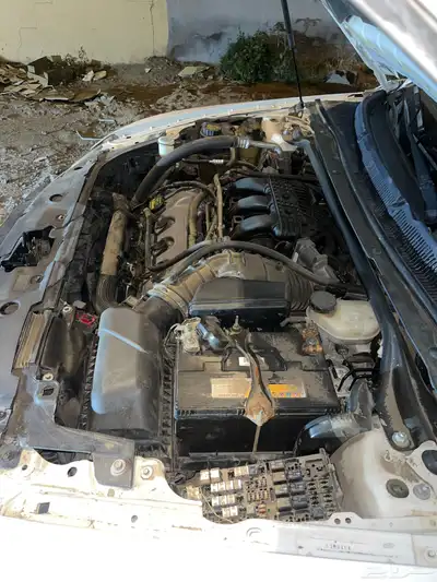 تورس2011 10