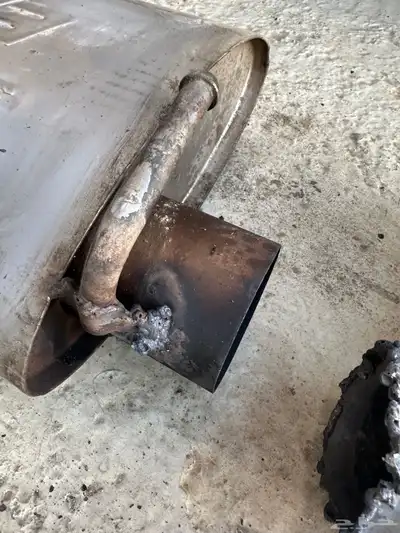 دبات بورلا دودج 3