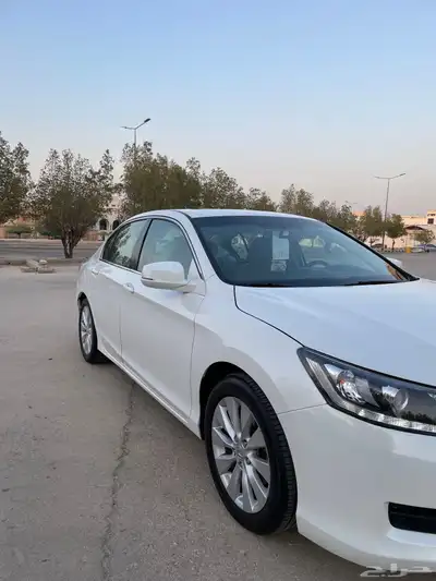 هونداء اكورد 3