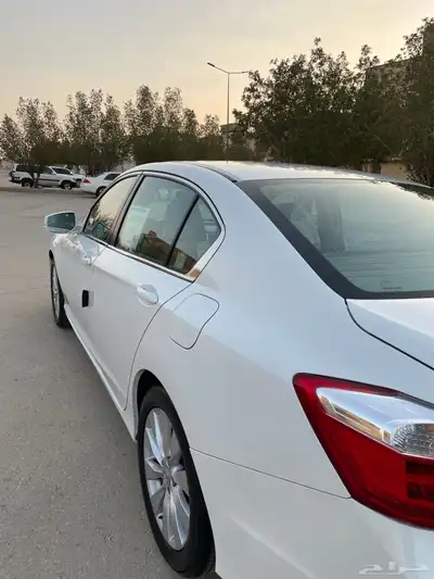 هونداء اكورد 5